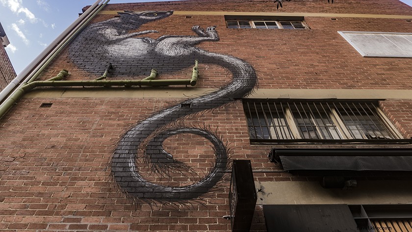 Discover Perth s Best Street Art: Top Locations & Hidden Gems