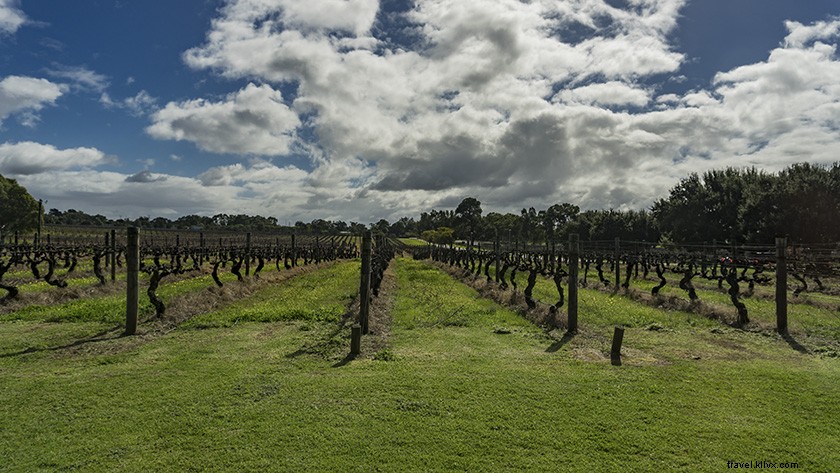Ultimate Swan Valley Wine Tasting Day Trip from Perth: Insider Guide