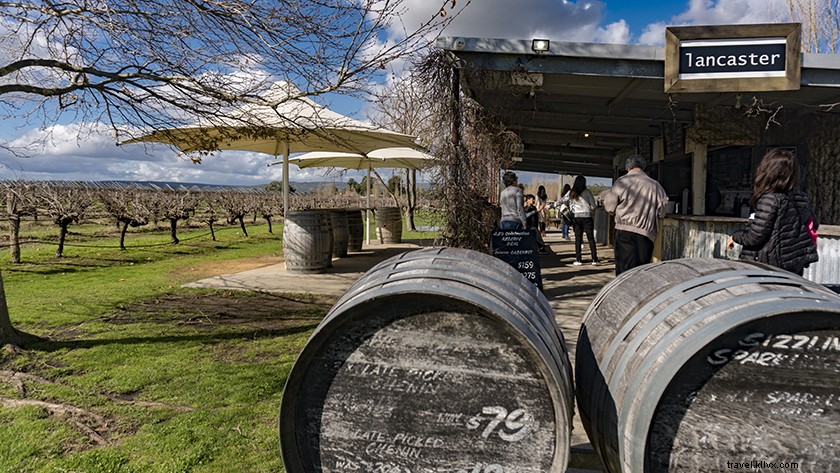 Ultimate Swan Valley Wine Tasting Day Trip from Perth: Insider Guide