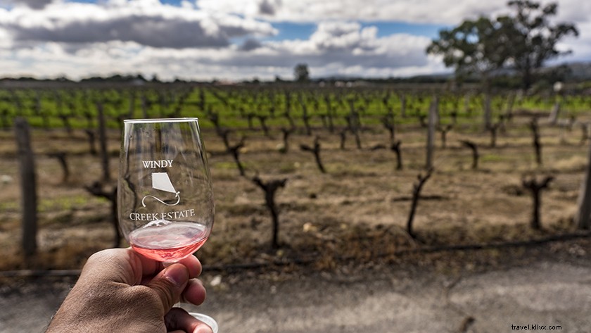 Ultimate Swan Valley Wine Tasting Day Trip from Perth: Insider Guide