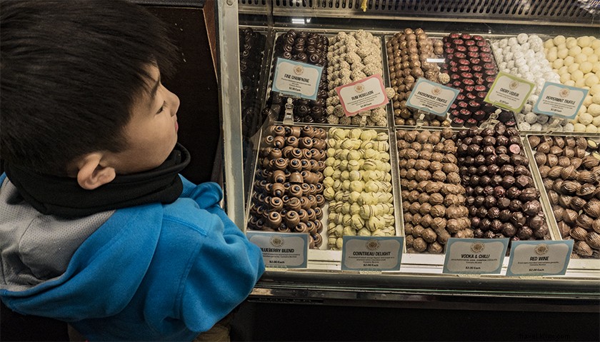 Ultimate Swan Valley Wine Tasting Day Trip from Perth: Insider Guide