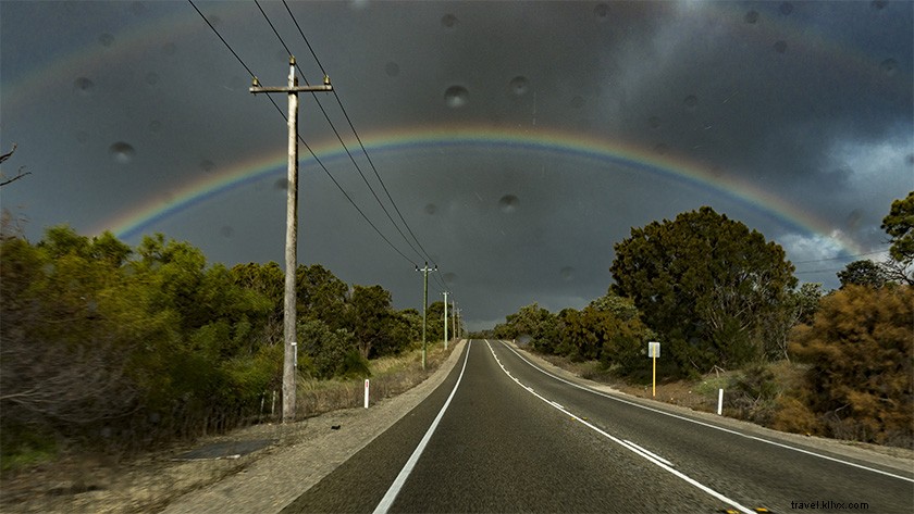 Epic Day Trip from Perth: Pinnacles Desert, Lancelin & Yanchep National Park Guide