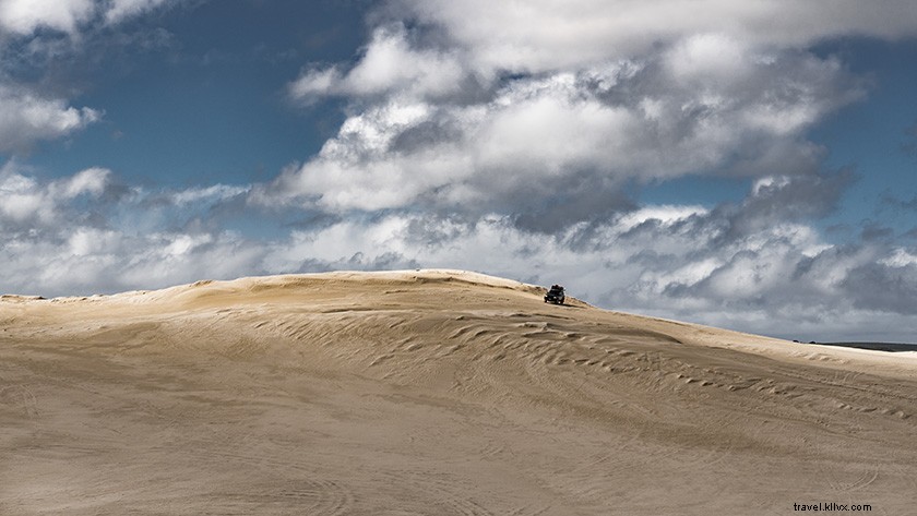 Epic Day Trip from Perth: Pinnacles Desert, Lancelin & Yanchep National Park Guide