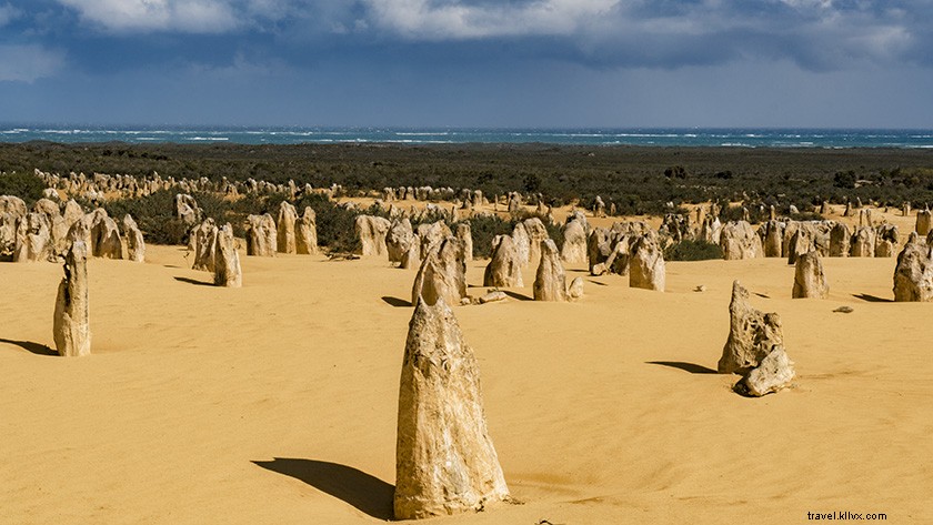 Epic Day Trip from Perth: Pinnacles Desert, Lancelin & Yanchep National Park Guide