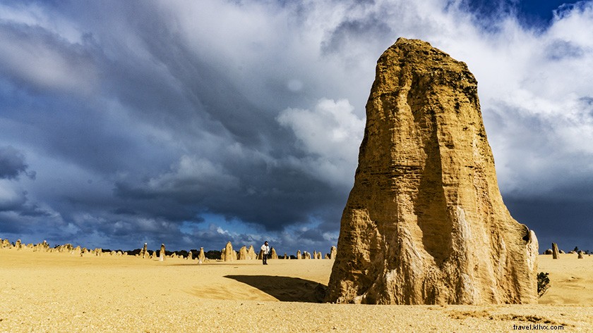 Epic Day Trip from Perth: Pinnacles Desert, Lancelin & Yanchep National Park Guide