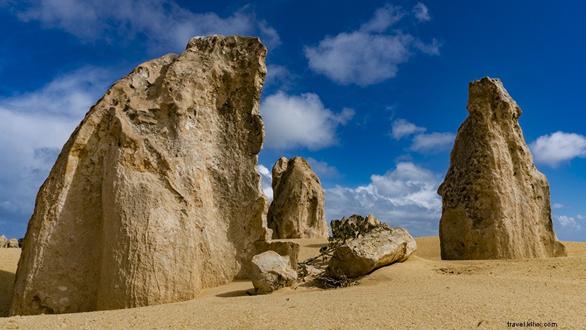 Epic Day Trip from Perth: Pinnacles Desert, Lancelin & Yanchep National Park Guide