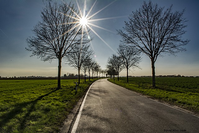 Master Horse Riding in Germany: A Beginner s Ultimate Guide