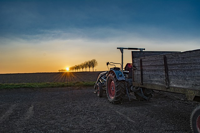 Master Horse Riding in Germany: A Beginner s Ultimate Guide