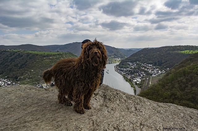 Master Horse Riding in Germany: A Beginner s Ultimate Guide