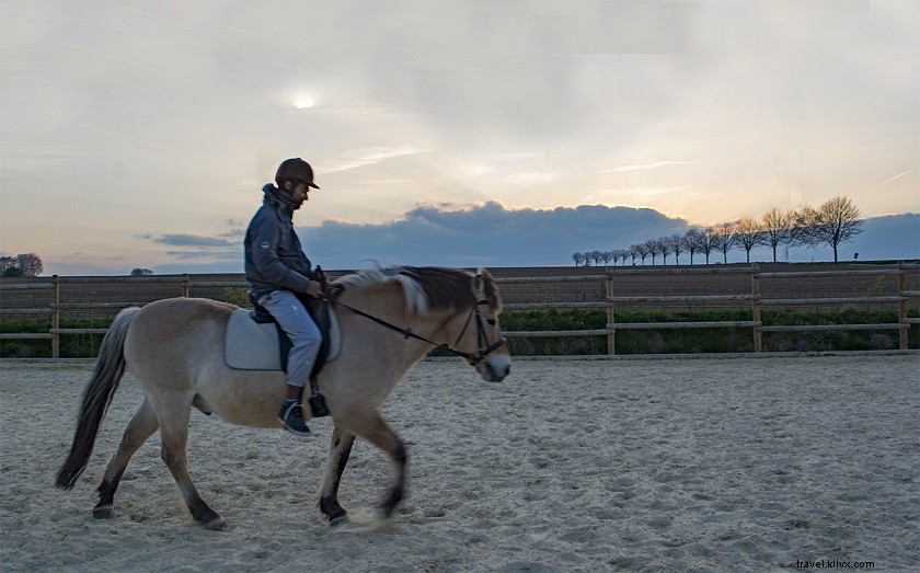 Travel Blogging Income Revealed: How Much I Really Earn (2021 Update)