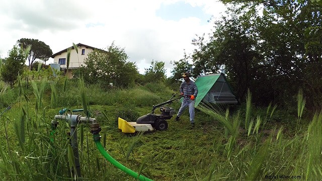 Authentic Family Homestay in Rome: My Unforgettable Workaway Experience