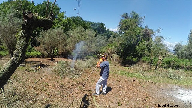 Authentic Family Homestay in Rome: My Unforgettable Workaway Experience