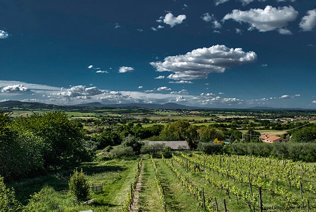 Authentic Family Homestay in Rome: My Unforgettable Workaway Experience