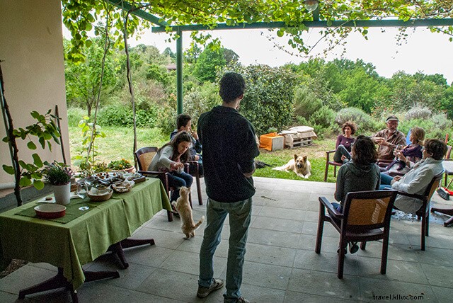 Authentic Family Homestay in Rome: My Unforgettable Workaway Experience