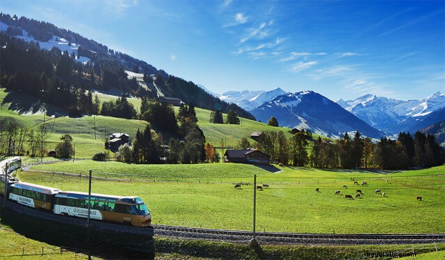 Breathtaking Swiss Alps Views on a €25 Flixbus from Milan to Basel
