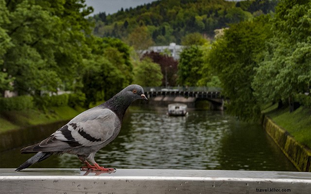 First Impressions of Ljubljana, Slovenia: A Traveler s Honest Guide