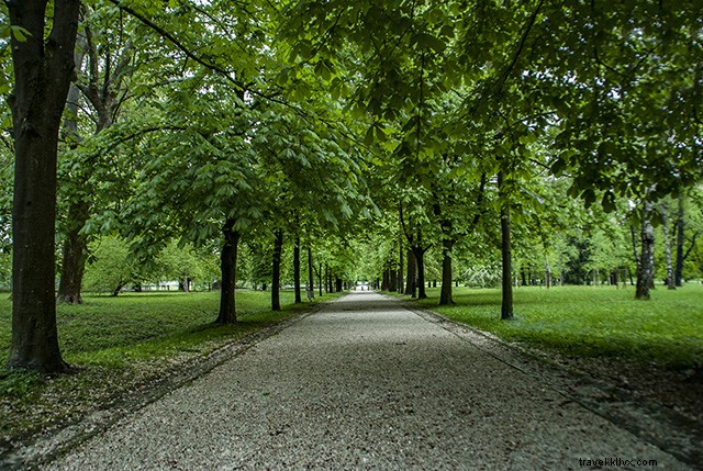 First Impressions of Ljubljana, Slovenia: A Traveler s Honest Guide