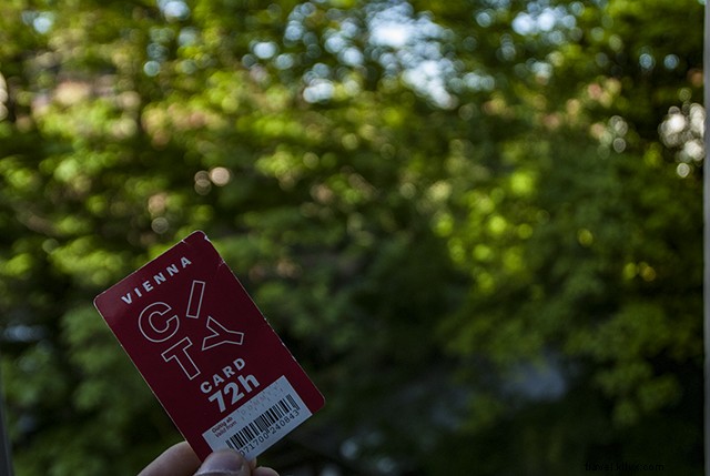 Vienna on a Budget: Essential Travel Tips for Affordable Adventures