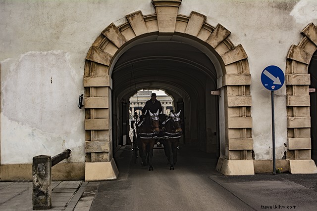 Vienna on a Budget: Essential Travel Tips for Affordable Adventures