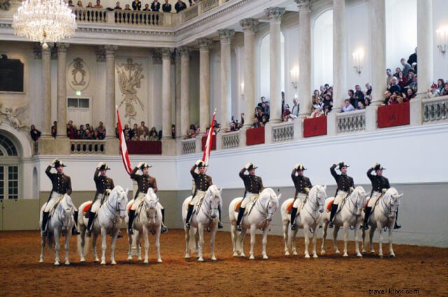 Stunning Vienna in Pictures: A Solo Traveler s Unexpected Delight