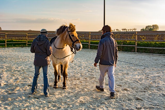 Why I m Always on the Move: The Passion Behind My Endless Travels