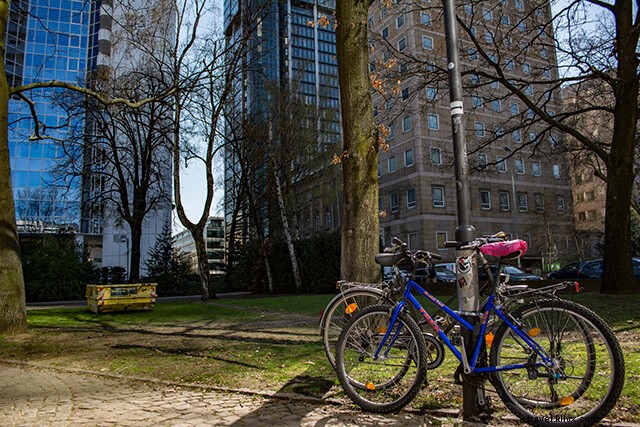 Ultimate Frankfurt Travel Guide: Top Attractions, Experiences & Insider Tips