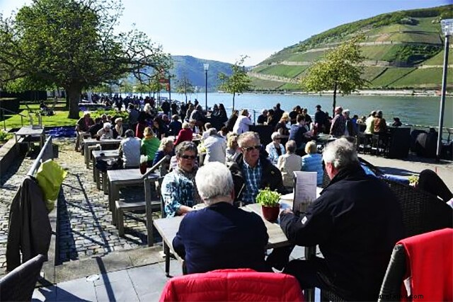 Ultimate Day Trip from Frankfurt: Explore Rüdesheim and Bingen