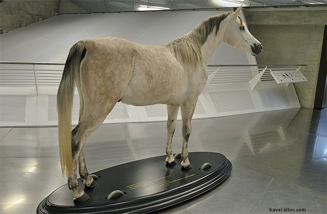 Mercedes-Benz Museum in Stuttgart: Birthplace of Automotive Innovation