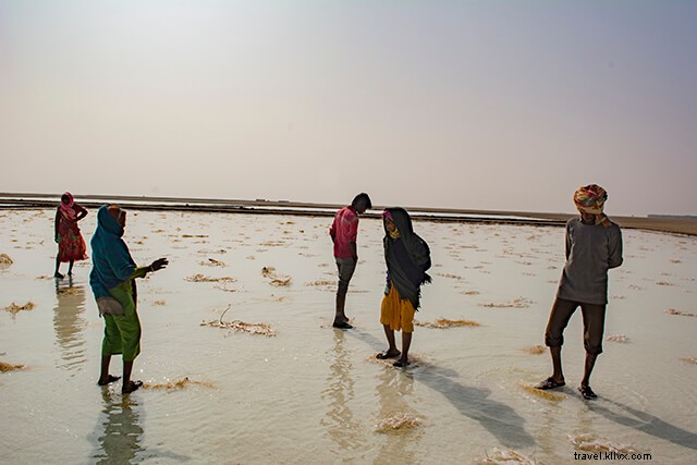 Discover Vachhraj Dada Temple in Little Rann of Kutch: A Budget Traveler s Experience