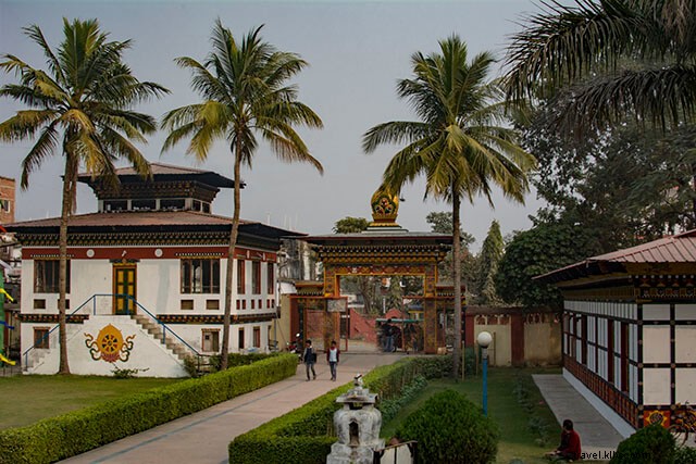 Bodhgaya Guide: What to Expect at Buddhism s Sacred Birthplace