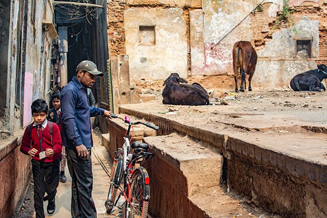 Varanasi Unveiled: From Bustling Streets to Sacred Ghats – What to Expect