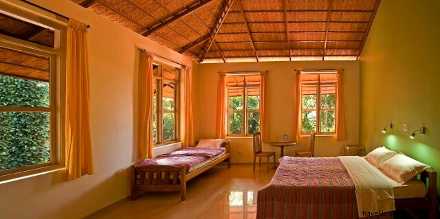 Discover Kabbinakad, Coorg: Insider Homestay Guide to Coffee Plantations & Nature