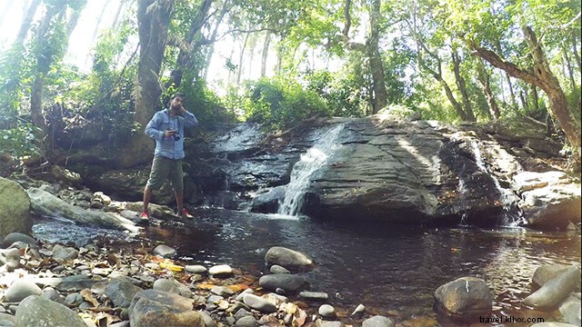 Discover Kabbinakad, Coorg: Insider Homestay Guide to Coffee Plantations & Nature