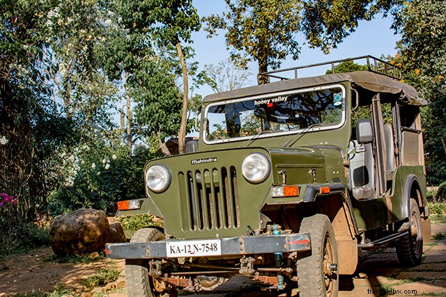 Discover Kabbinakad, Coorg: Insider Homestay Guide to Coffee Plantations & Nature