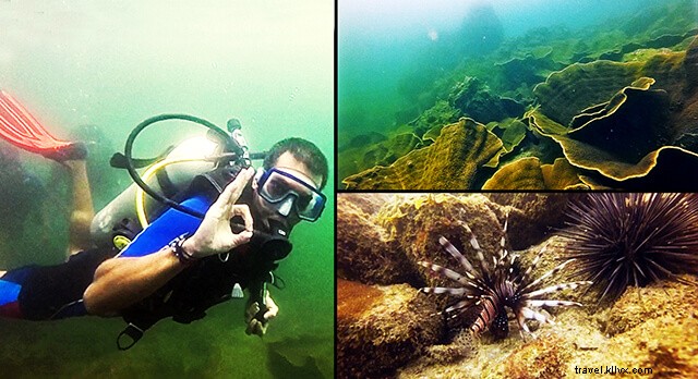 My Thrilling First Scuba Diving Experience: Overcoming Fear Underwater