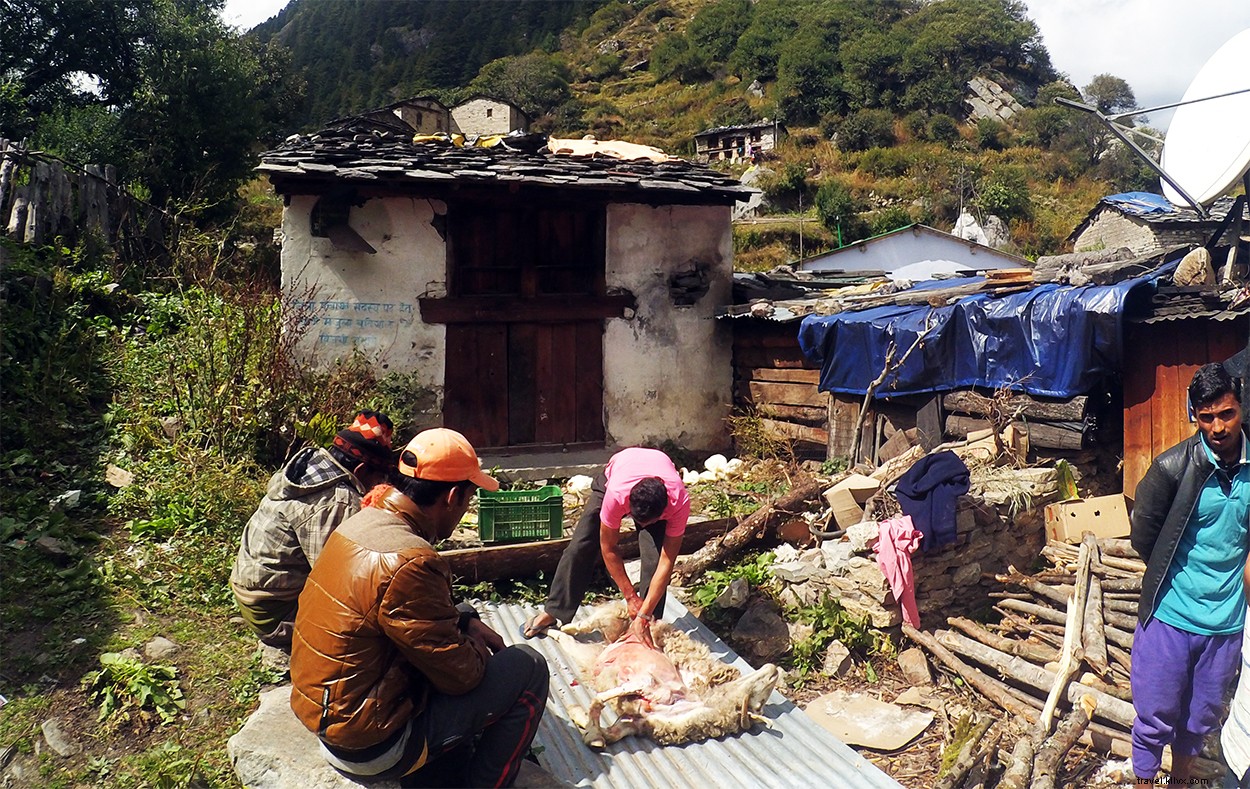 Exploring Darma Valley: A High-Altitude Adventure to Panchachuli Peaks