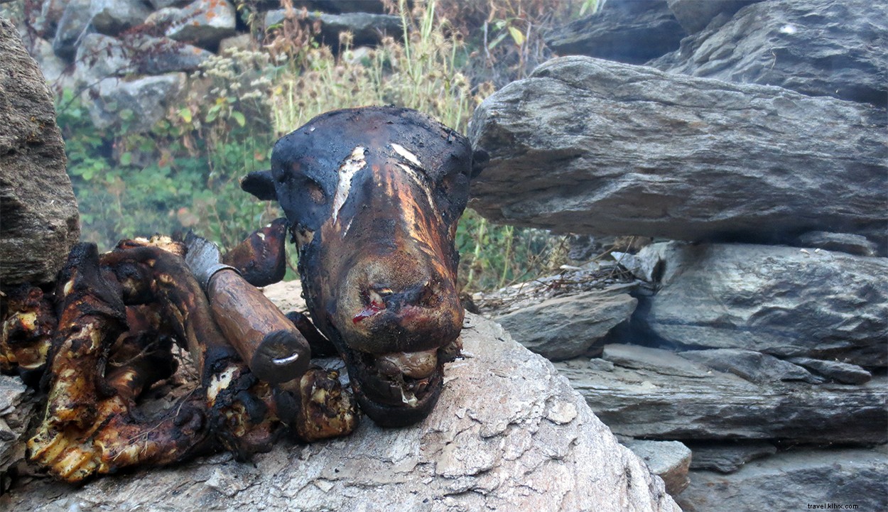 Exploring Darma Valley: A High-Altitude Adventure to Panchachuli Peaks