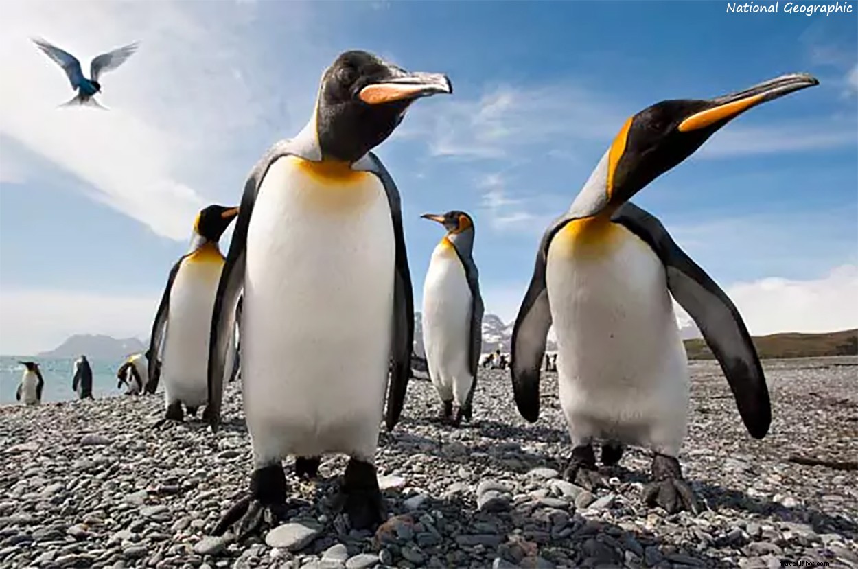 Why I Ditched Bucket Lists: Embracing Spontaneous Authentic Travel