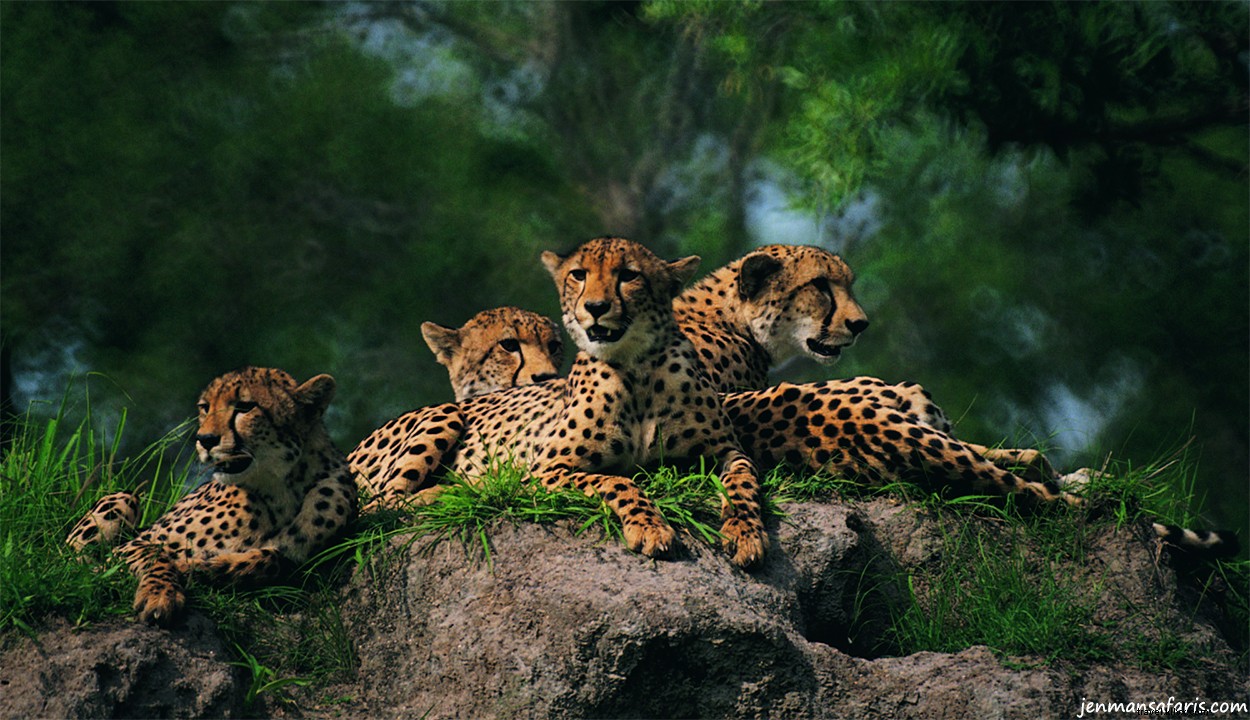 Why I Ditched Bucket Lists: Embracing Spontaneous Authentic Travel