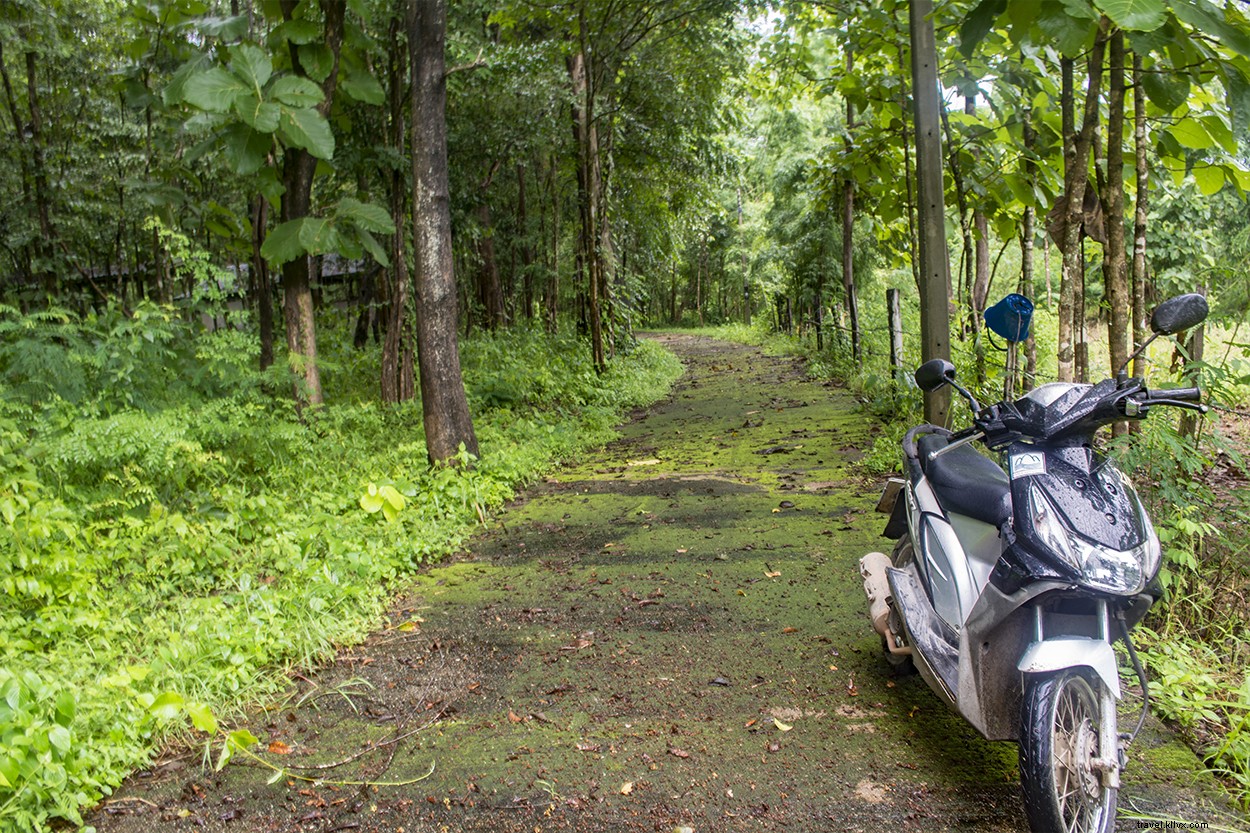 Best Things to Do in Pai, Thailand: Ultimate Travel Guide