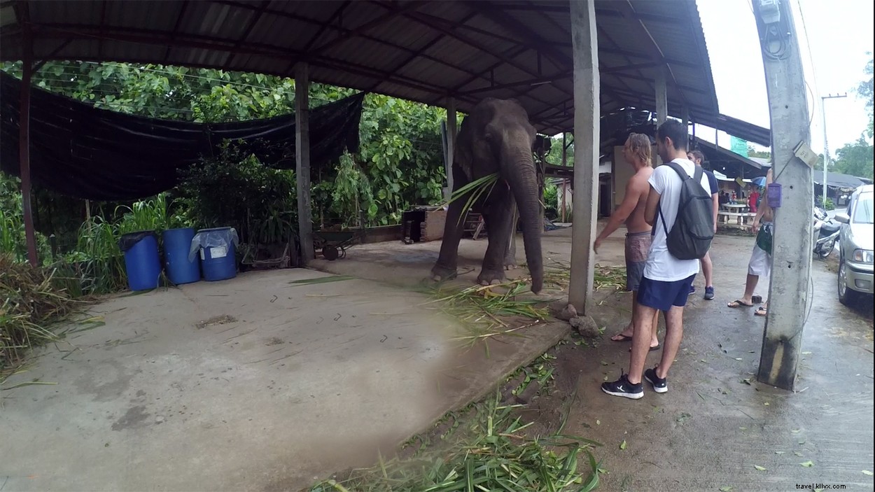 Best Things to Do in Pai, Thailand: Ultimate Travel Guide