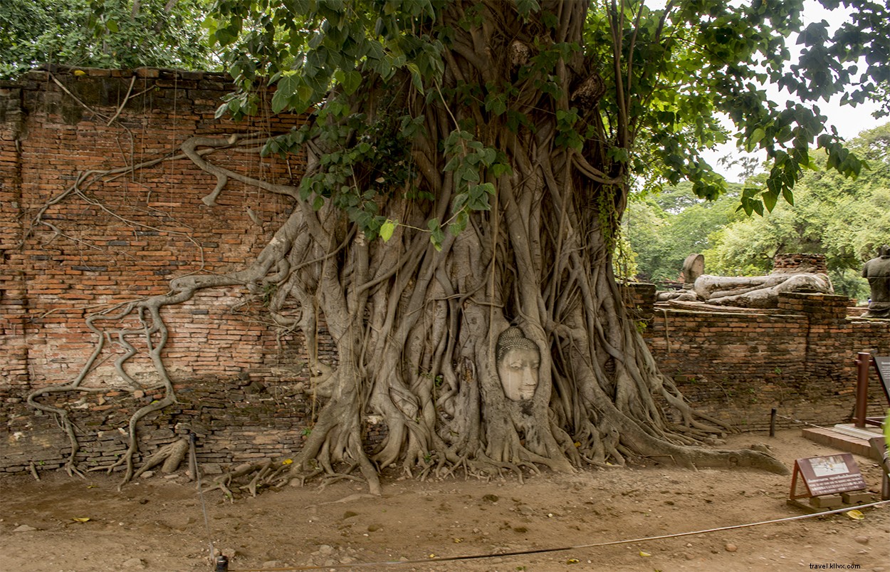 Ultimate Ayutthaya Day Trip from Bangkok: Top Temples, Travel Guide & Tips