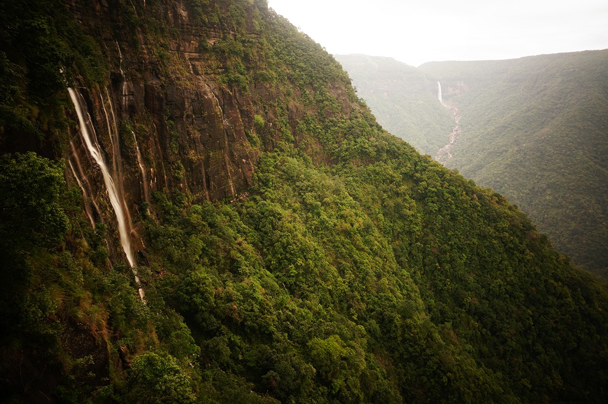 Top 5 Must-Visit Destinations in India for August: Monsoon Magic