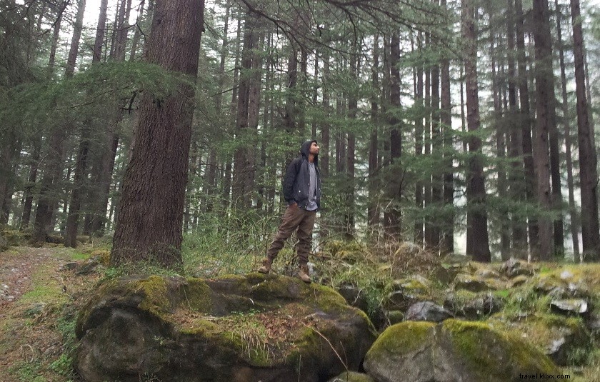 Ultimate Guide: Top Things to See & Do in Manali, Himachal Pradesh