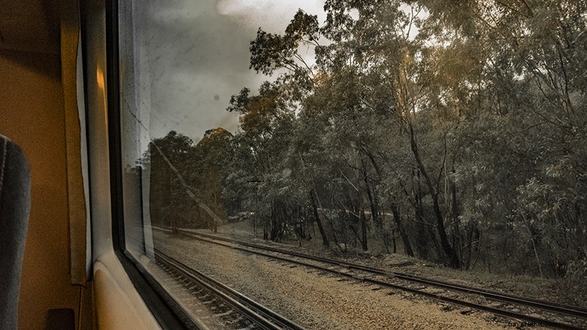 Why We Travel: A Dawn Awakening to Wanderlust s Call