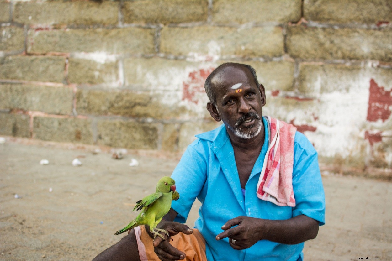 Kanyakumari Daily Life: Stunning Photos from India s Southernmost Town