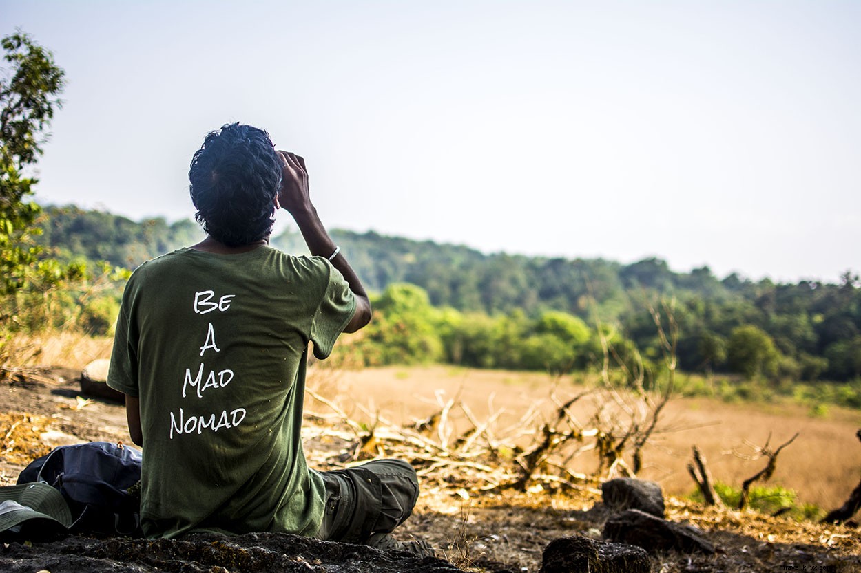 Scenic Drive from Coorg to Bangalore: A Reflective Journey Through Wilderness