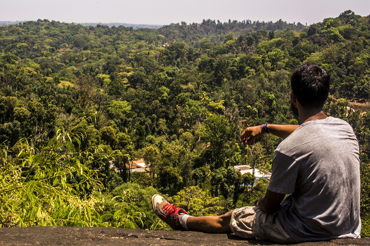 Scenic Drive from Coorg to Bangalore: A Reflective Journey Through Wilderness