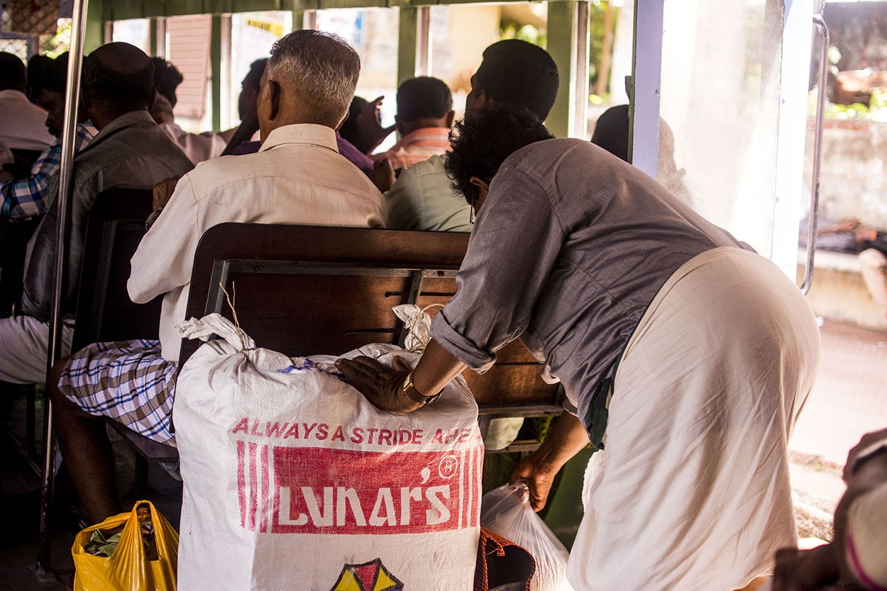 Everyday Life in Alleppy s Serene Backwaters: Authentic Kerala Experience