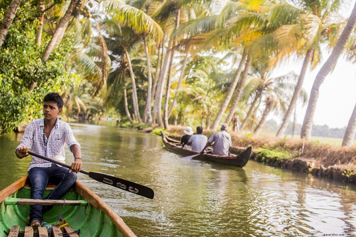 Everyday Life in Alleppy s Serene Backwaters: Authentic Kerala Experience